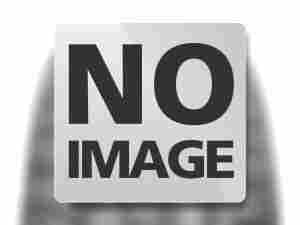 IC30
